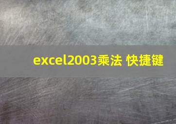 excel2003乘法 快捷键